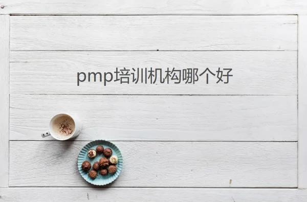 乐凯pmp实力